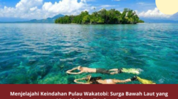 Menjelajahi Keindahan Pulau Wakatobi: Surga Bawah Laut yang Menakjubkan di Indonesia