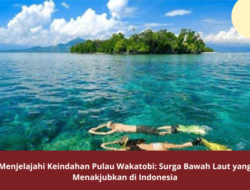 Menjelajahi Keindahan Pulau Wakatobi: Surga Bawah Laut yang Menakjubkan di Indonesia