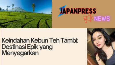 Kebun Teh Tambi