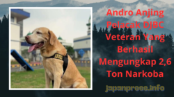 Andro Anjing Pelacak DJBC Veteran Yang Berhasil Mengungkap 2,6 Ton Narkoba