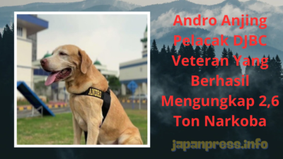 Andro Anjing Pelacak DJBC Veteran Yang Berhasil Mengungkap 2,6 Ton Narkoba