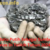 Potensi Batu Putih Sebagai Sumber Energi Tak Terbatas Di Telitih Tahun 2024 Akhir Ini