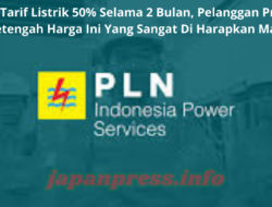 Diskon Tarif Listrik 50% Selama 2 Bulan, Pelanggan Prabayar Bayar Setengah Harga Ini Yang Sangat Di Harapkan Masyarkat